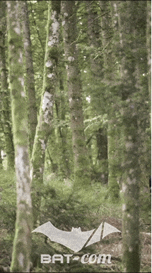 26_09_05_Bussang_VM N°120 V0127