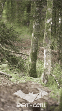 26_09_05_Bussang_VM N°145 V0083