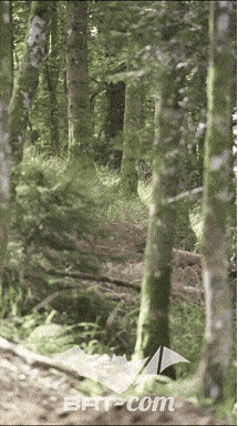 26_09_05_Bussang_VM N°15 V0450