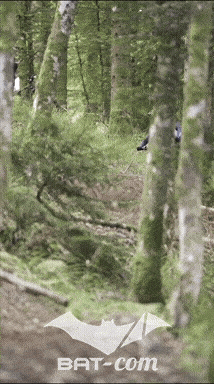 26_09_05_Bussang_VM N°150 V0047