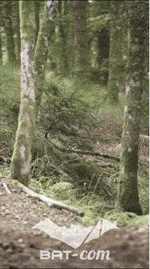 26_09_05_Bussang_VM N°165 V0135