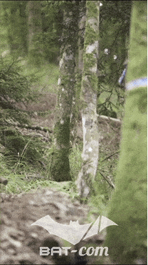 26_09_05_Bussang_VM N°179 V0055
