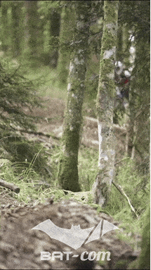 26_09_05_Bussang_VM N°192 V0066