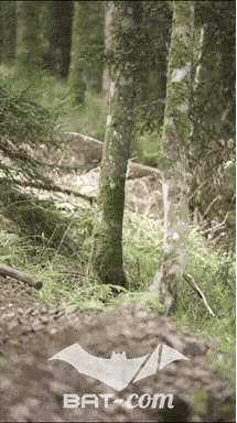 26_09_05_Bussang_VM N°235 V0012