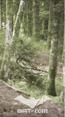 26_09_05_Bussang_VM N°237 V0035