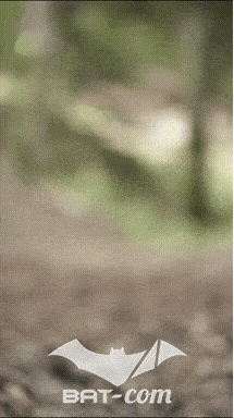 26_09_05_Bussang_VM N°271 V0009