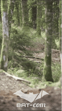 26_09_05_Bussang_VM N°30 V0447