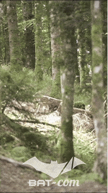 26_09_05_Bussang_VM N°314 V0002