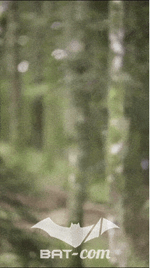 26_09_05_Bussang_VM N°328 V0019