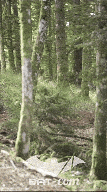 26_09_05_Bussang_VM N°39 V0448