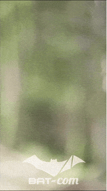 26_09_05_Bussang_VM N°70 V0452