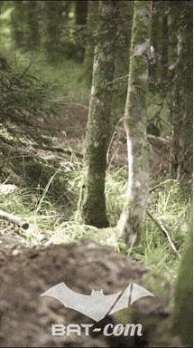 26_09_05_Bussang_VM N°75 V0079