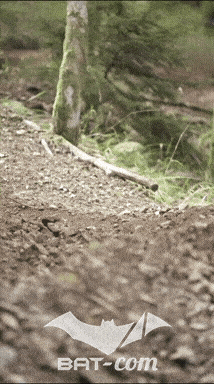 26_09_05_Bussang_VM N°ND V0109