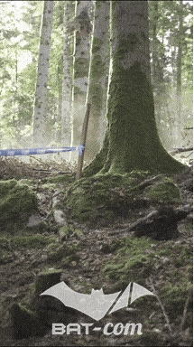 26_09_20_Giromagny_v N°102 V0608