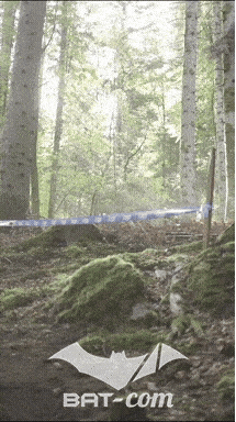 26_09_20_Giromagny_v N°106 V0575