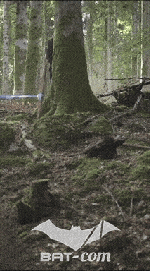 26_09_20_Giromagny_v N°115 V0542
