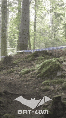 26_09_20_Giromagny_v N°130 V0569