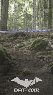 26_09_20_Giromagny_v N°139 V0541