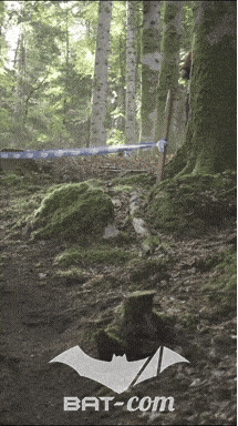 26_09_20_Giromagny_v N°142 V0539