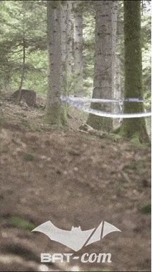26_09_20_Giromagny_v N°15 V0867