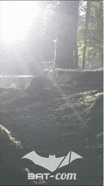26_09_20_Giromagny_v N°160 V0517
