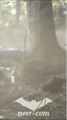 26_09_20_Giromagny_v N°169 V0515