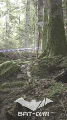 26_09_20_Giromagny_v N°174 V0591