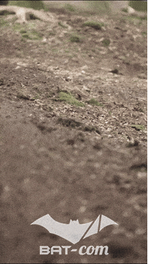 26_09_20_Giromagny_v N°175 V0784