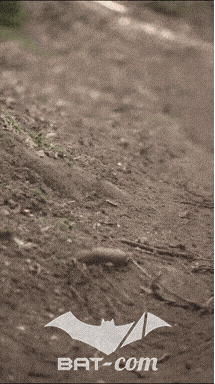26_09_20_Giromagny_v N°189 V0781