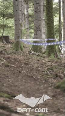 26_09_20_Giromagny_v N°19 V0863