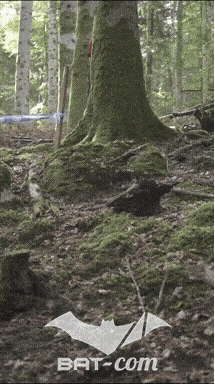 26_09_20_Giromagny_v N°192 V0552