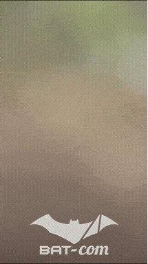 26_09_20_Giromagny_v N°194 V0771