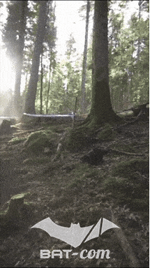 26_09_20_Giromagny_v N°196 V0521