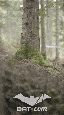 26_09_20_Giromagny_v N°213 V0727