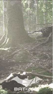 26_09_20_Giromagny_v N°214 V0491