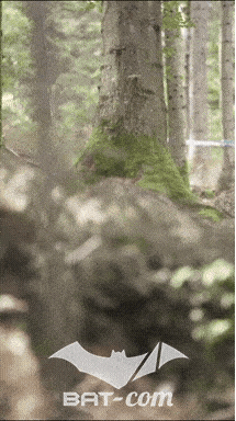 26_09_20_Giromagny_v N°214 V0743