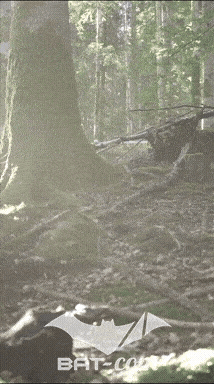 26_09_20_Giromagny_v N°216 V0489