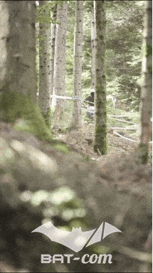 26_09_20_Giromagny_v N°219 V0739