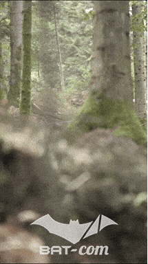 26_09_20_Giromagny_v N°220 V0744