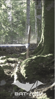 26_09_20_Giromagny_v N°223 V0484
