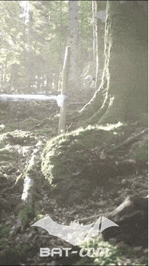26_09_20_Giromagny_v N°211 V0487