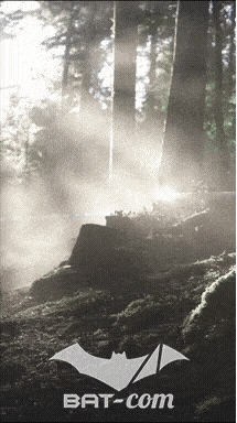 26_09_20_Giromagny_v N°235 V0480
