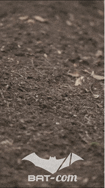26_09_20_Giromagny_v N°235 V0696