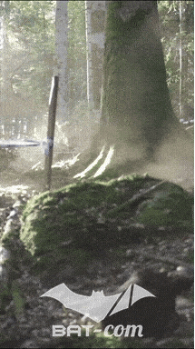 26_09_20_Giromagny_v N°237 V0466