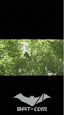 26_09_20_Giromagny_v N°239 V0477