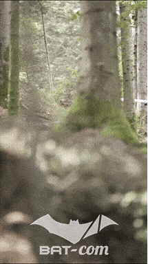 26_09_20_Giromagny_v N°242 V0742