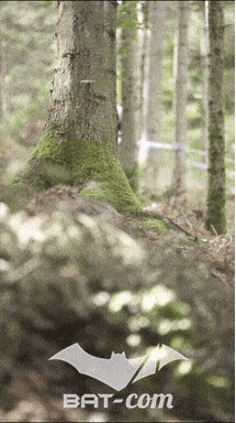 26_09_20_Giromagny_v N°243 V0741