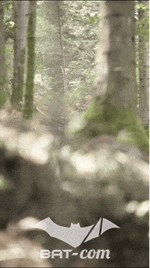 26_09_20_Giromagny_v N°244 V0740