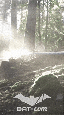 26_09_20_Giromagny_v N°245 V0479