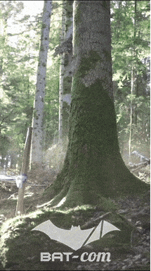 26_09_20_Giromagny_v N°250 V0476